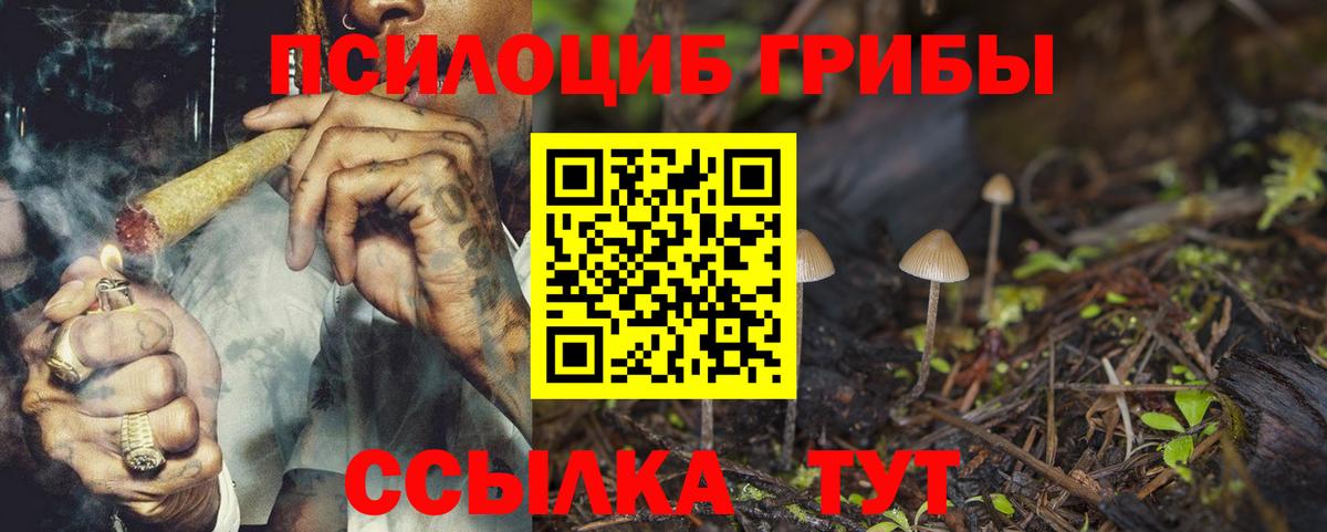 Псилоцибиновые грибы MAGIC MUSHROOMS  Вход с VPN  Ртищево  Псилоцибиновые грибы мухоморы 